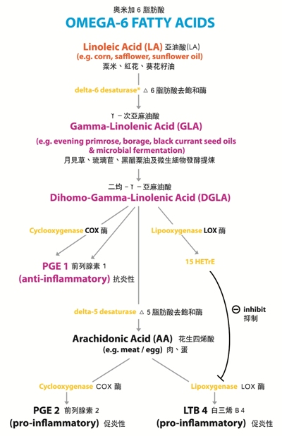 o6 chart