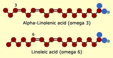 fatty acids